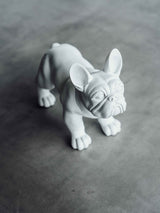FITSEVENELEVEN Signature Dog White