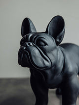 FITSEVENELEVEN Signature Dog Black